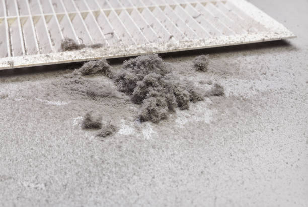 Ventilation Cleaning Services in Brice Prairie, WI