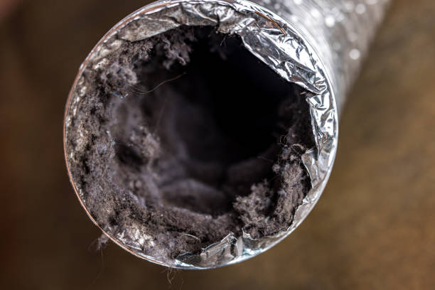 Best Commercial Air Duct Cleaning  in Brice Prairie, WI